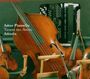 Astor Piazzolla: Tangos für Akkordeon,Klavier & Streicher "Tempo Del Angel", CD