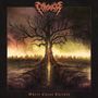 Chronicle: Where Chaos Thrives (Limited Edition), LP