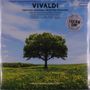 VIVALDI: THE FOUR SEASONS. Naturbild mit einzelnem Baum auf blumenreicher Wiese unter klarem Himmel.