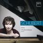 Schubert. Irina Chukovskaya, Piano. DUX-Logo. Frau lehnt am Flügel, ihr Spiegelbild ist sichtbar.