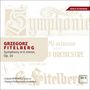 Grzegorz Fitelberg: Symphonie e-moll op.16, CD