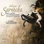 Jadwiga Sarnecka: Ballades and Miniatures for Solo Piano. Marek Szlezer. Eine dynamische Figur reitet ein stürmisches Pferd.