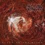 Vader: Black To The Blind, CD