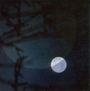 Terje Isungset: Two Moons, CD