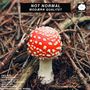 Not Normal: Modærn Qualitet, CD