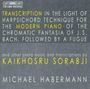 Michael Habermann - Sorabji-Werke & Transkriptionen, CD