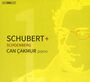 Franz Schubert: Klaviersonaten D.537 & D.959, SACD