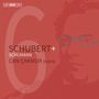 Text: Schubert + Schumann, Can Çakmur piano. Hintergrund: Rote Illustration eines Gesichts mit Brille.