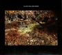 Daniel Norgren: Green Stone, CD