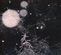 Over The Voids...: Over The Voids, CD