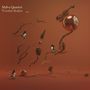 Malva Quartet: Wooden Bodies, CD