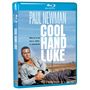 Stuart Rosenberg: Cool Hand Luke (1967) (Blu-ray) (UK Import mit deutscher Tonspur), BR