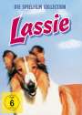 : Lassie - Die Spielfilm-Collection, DVD,DVD,DVD,DVD