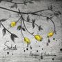 Pettersson & Fredriksson: Sotali, CD
