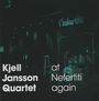 Kjell Jansson: At Nefertiti Again, CD