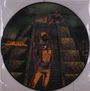 Budgie: Nightflight (Picture Disc), LP