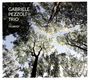 Gabriele Pezzoli: Viljandi, CD