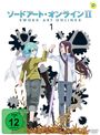 Tomohiko Ito: Sword Art Online 2 Vol. 1, DVD,DVD