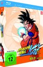 Yasuhiro Nowatari: Dragonball Z Kai Box 1 (Blu-ray), BR,BR