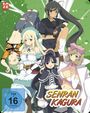 Takashi Watanabe: Senran Kagura (Gesamtausgabe) (Steelbook), DVD