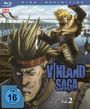 : Vinland Saga Staffel 1 Vol. 2 (Blu-ray), BR