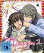 Chiaki Kon: Junjo Romantica Staffel 2 Vol. 1 (mit Sammelbox), DVD