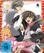 Chiaki Kon: Junjo Romantica Staffel 2 Vol. 2, DVD