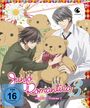 Chiaki Kon: Junjo Romantica Staffel 3 Vol. 1 (Limited Edition mit Sammelbox), DVD