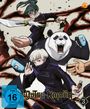 : Jujutsu Kaisen Staffel 1 Vol. 3, DVD