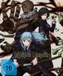 : Jujutsu Kaisen Staffel 1 Vol. 4, DVD