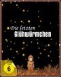 Isao Takahata: Die letzten Glühwürmchen (Blu-ray im Steelbook), BR