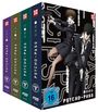 Gen Urobuchi: Psycho-Pass Staffel 1 (Gesamtausgabe), DVD,DVD,DVD,DVD