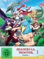 Toshiyuki Kubooka: Shangri-La Frontier Staffel 1 Part 1 (mit Sammelschuber) (Blu-ray), BR,BR