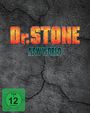 Shuuhei Matsushita: Dr. Stone Staffel 3 - New World Vol. 1 (mit Sammelschuber), DVD