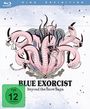 Text: "HIGH DEFINITION", "BLUE EXORCIST Beyond the Snow Saga", "FSK ab 12 freigegeben." Illustration: Schlangenwesen mit vielen Köpfen.