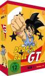 Daisuke Nishio: Dragonball GT Box 1 (Episode 1-21), DVD,DVD,DVD,DVD