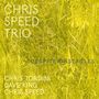 Chris Speed: Despite Obstacles, CD