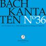 Johann Sebastian Bach: Bach-Kantaten-Edition der Bach-Stiftung St.Gallen - CD 36, CD