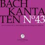 Johann Sebastian Bach: Bach-Kantaten-Edition der Bach-Stiftung St.Gallen - CD 43, CD