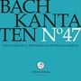 Johann Sebastian Bach: Bach-Kantaten-Edition der Bach-Stiftung St.Gallen - CD 47, CD