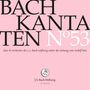 Großer Text: "BACH KANTATEN Nº53". Darunter kleiner: "chor & orchester der j.s. bach-stiftung unter der leitung von rudolf lutz". Unten ein Logo mit Notenzeichen und "J.S. Bach-Stiftung St.Gallen". Hintergrund rosa.