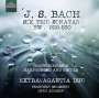 Johann Sebastian Bach: Triosonaten BWV 525-530 (für Gitarre & Cembalo), CD