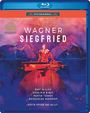 Richard Wagner: Siegfried, BR