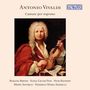 Oben steht "Antonio Vivaldi", darunter "Cantate per soprano". Es ist ein klassisches Gemälde einer Person mit Geige.