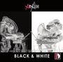 : Giulio Cintoni - Black and White, CD