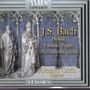 Johann Sebastian Bach: Alessio Corti: Orgel, CD,CD