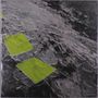 Winter Severity Index: Disgelo (Clear Vinyl), LP