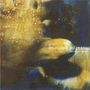 Divided Multitude: Falling To Pieces, CD