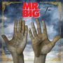 Mr. Big: Ten, CD