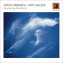 Sergio Armaroli & Fritz Hauser: Structuring The Silence, CD,CD